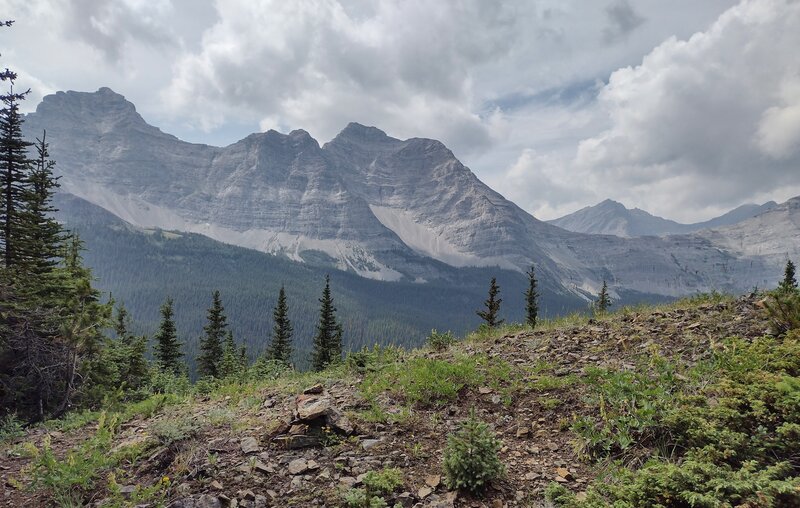 Nearby peaks of the Great Divide rise up over the forested valley below, looking northwest from a high ridge just south of Cataract Creek.
