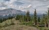Mount Etherington, 9,439 ft., on the Great Divide, is seen ahead to the north-northwest, from the Great Divide Trail as it travels along a high ridge crest.