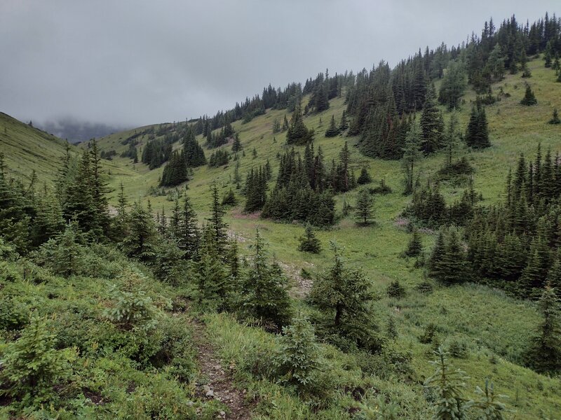 Pretty little creek valley on a rainy August morning. Not all days are sunshine and blue skies :>). Hidden under the low clouds are impressive peaks of the Great Divide.