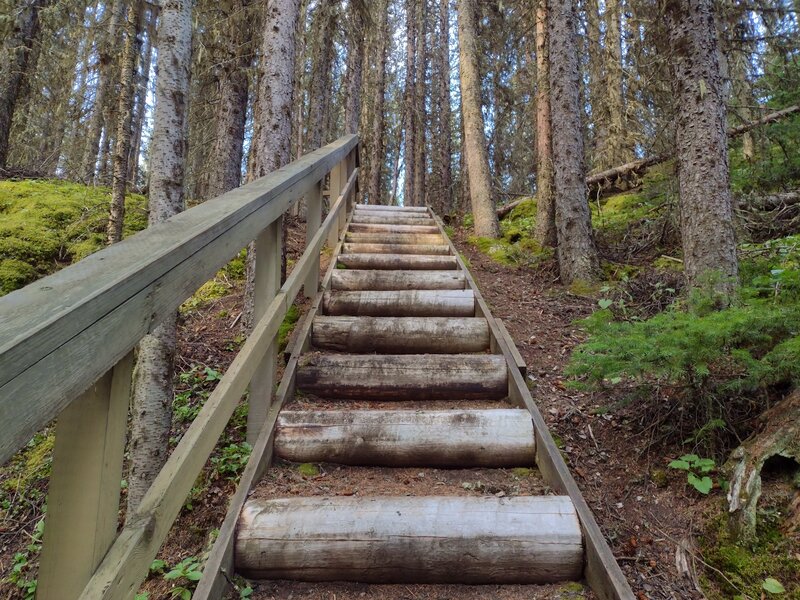 Steps up the steepest places on the Canadian Mt. Everest Expedition Trail, a family friendly interpretive trail.