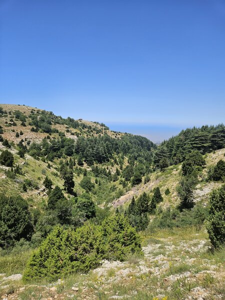 The valleys of Horse Ehden