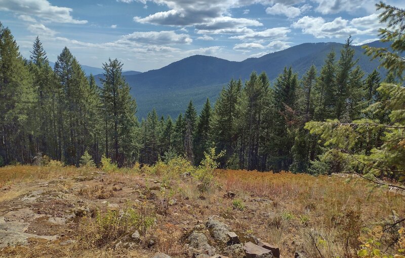 The forested Shedroof Divide is seen to the west from an open spot high on Plowboy Mountain Trail.