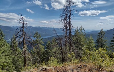 Priest Lake below, and the Selkirk Crest in the distance, are seen looking east near the summit of Plowboy Mountain.