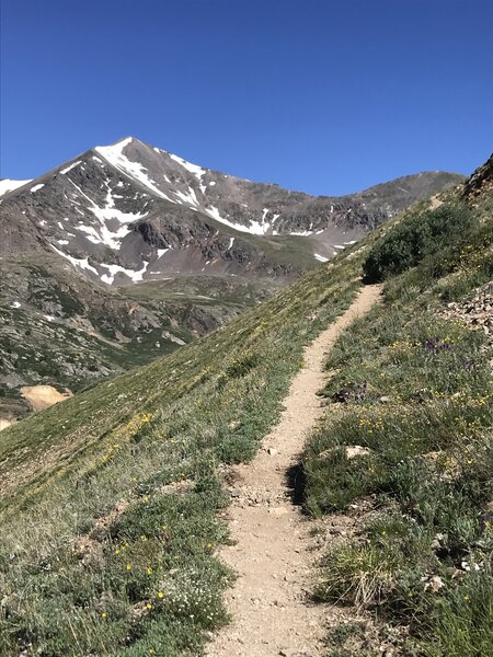 Argentine Pass trail - long switchback around Argentine Peak, Grays in left background.