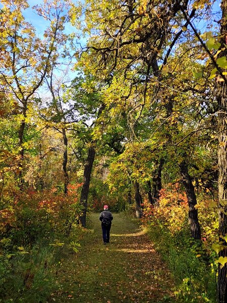 On the self-guided trail in early fall.