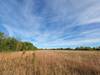 Where the Agassiz Trail crosses the prairie.