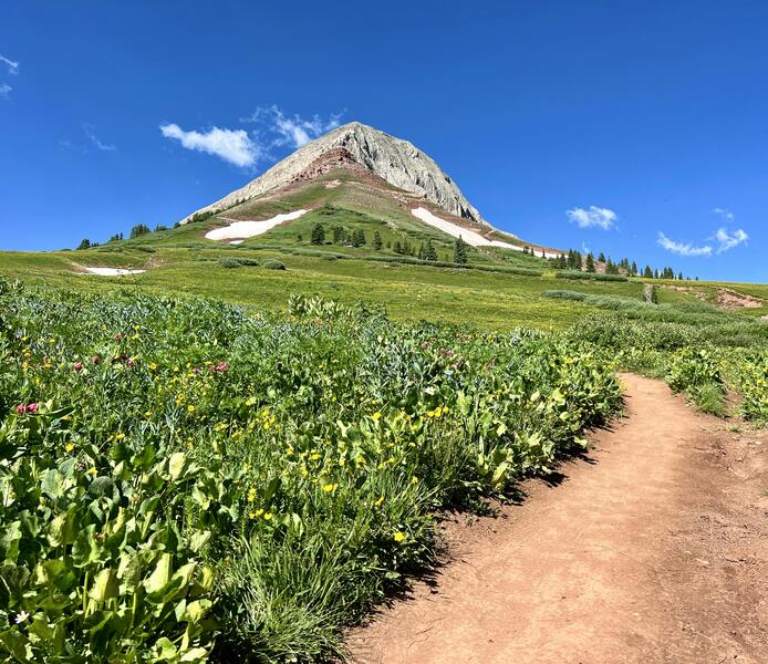 Looking up at Engineer Mountain from the Pass Creek Trail.