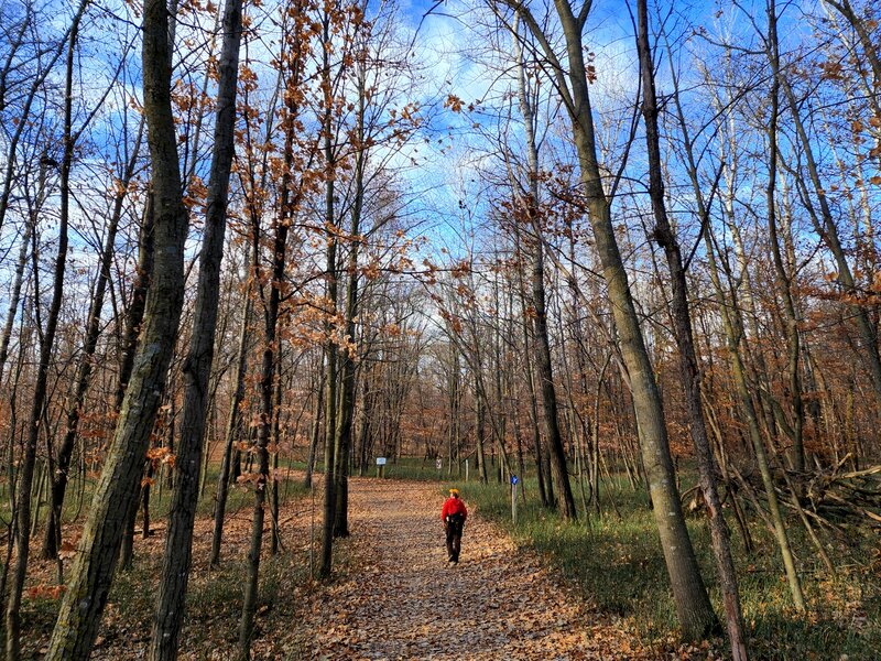 At the junction of the Hidden Lake and Red Oak Trails.