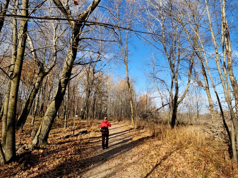 On the Hidden Lake Trail.