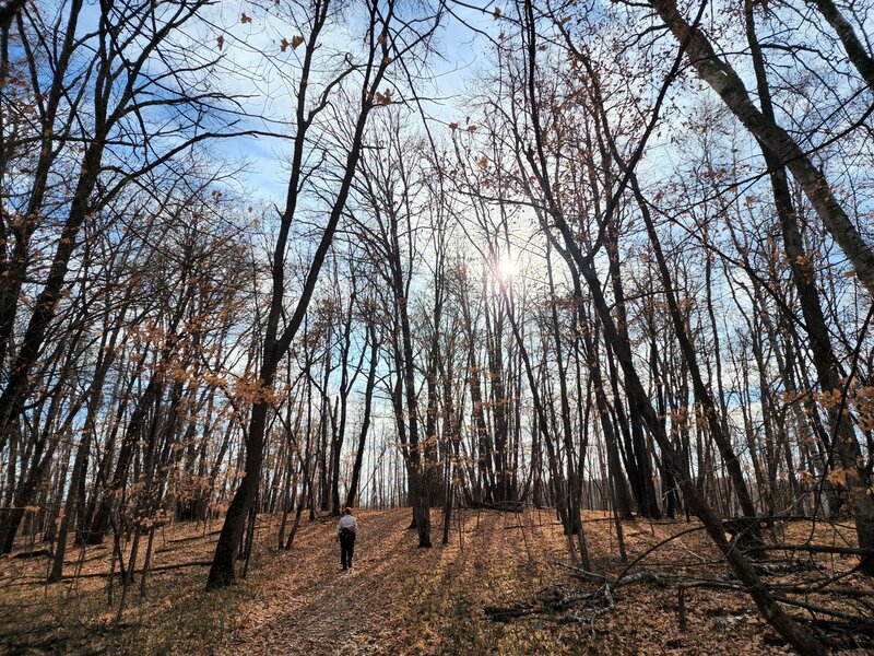 On the Hidden Lake Trail toward Lake Carlos.