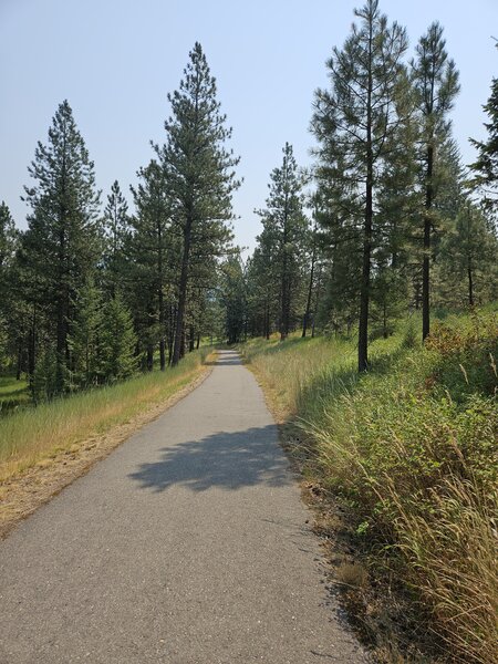 Heading down the Overlook ztrail.