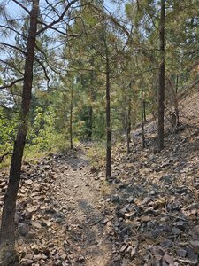 Bluff trail descending to the river.