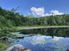 View, from the edge of Goose Pond.