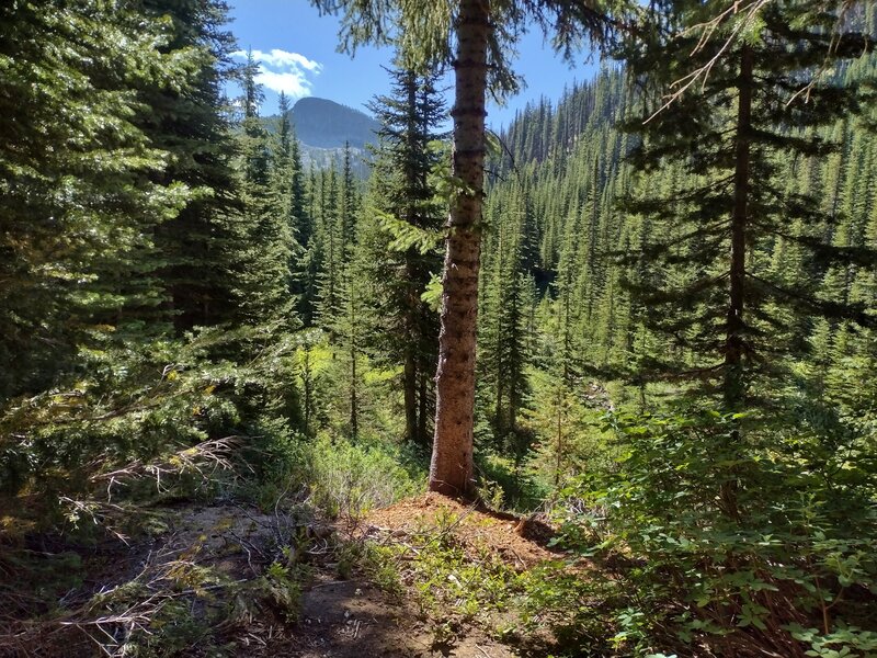 A nearby unnamed peak, and Snow Creek in the valley below, are seen through a break in the trees along Snow Lake Trail. Although it can't be seen, Snow Lake is in the cirque below the unnamed peak.