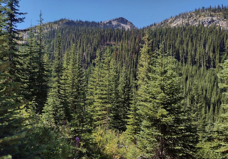 Bottleneck Peak, 6,782 ft. (upper center), pokes up above its nearby massive, forested shoulders. Seen to the west from high on Snow Lake Trail.