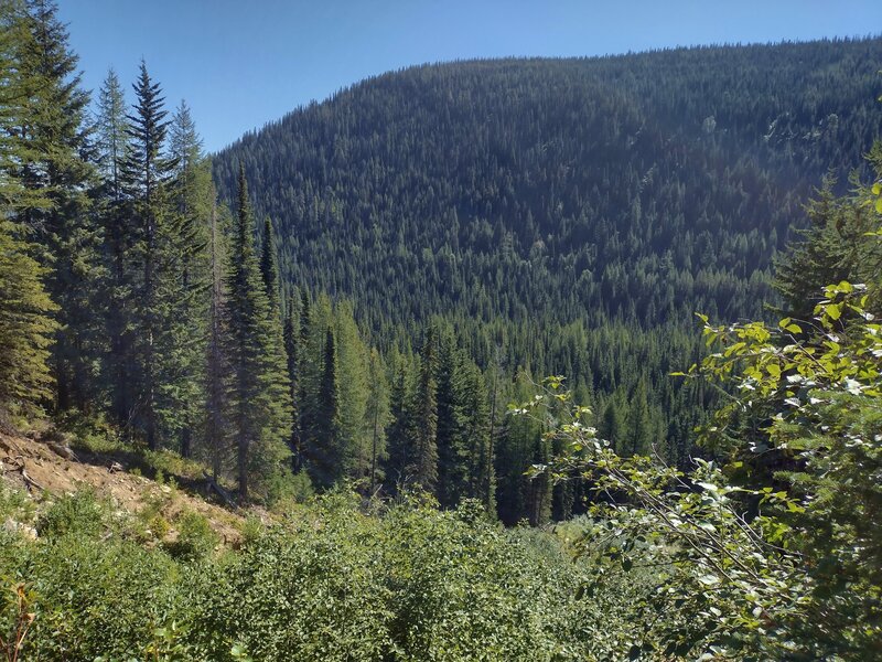 The nearby forested ridge to the east is the opposite side of the Snow Creek valley. Although unseen, Snow Creek runs along the bottom of the valley below. Seen from Bottleneck Lake Trail.