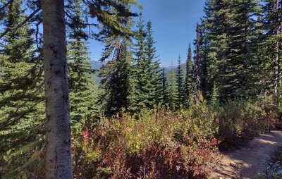 Distant mountains and the beginnings of fall color, on a perfect late August day high on Bottleneck Lake Trail.