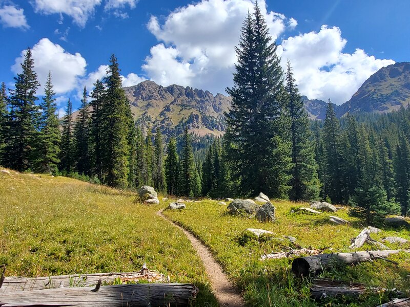 Pretty meadows with wildflowers and views of the Gore Range.