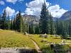 Pretty meadows with wildflowers and views of the Gore Range.