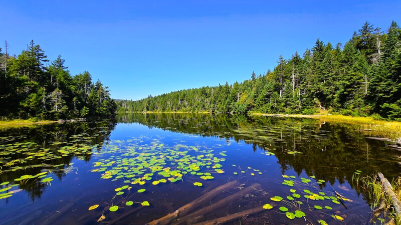 Sterling Pond