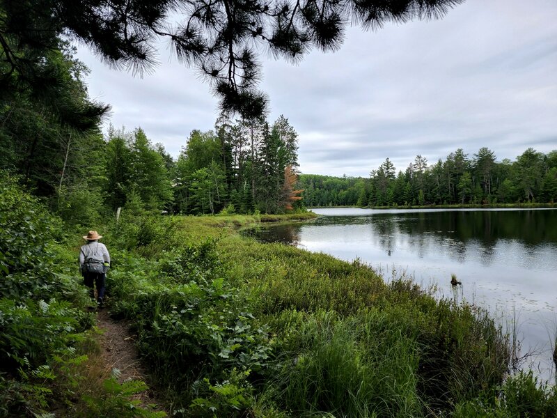 Hiking along the east side of Pickerel Lake.