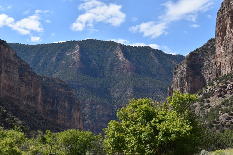 A break from the trees reveals a beautiful view of the canyon.