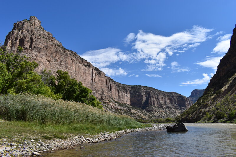 View upstream of the Green River from the Jones Hole 3 campsite at the end of the trail. Take a dip! The water's not cold at all ;)