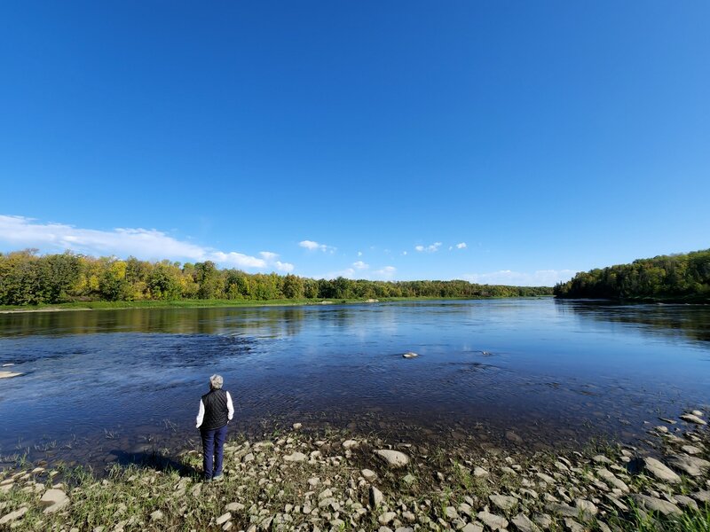 The Rainy River from the end of the Hiking Club Trail.