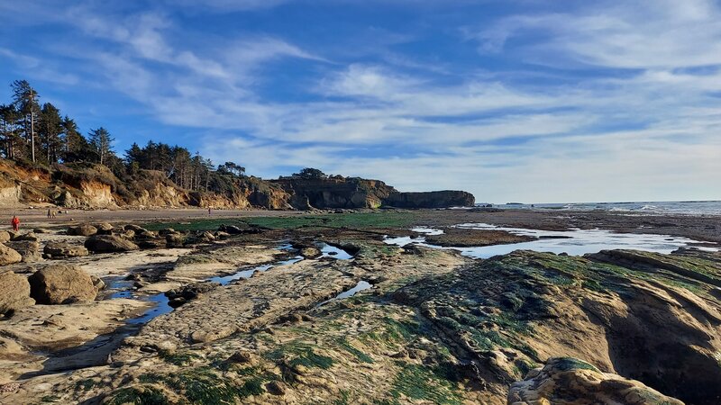 Otter Crest Low Tide