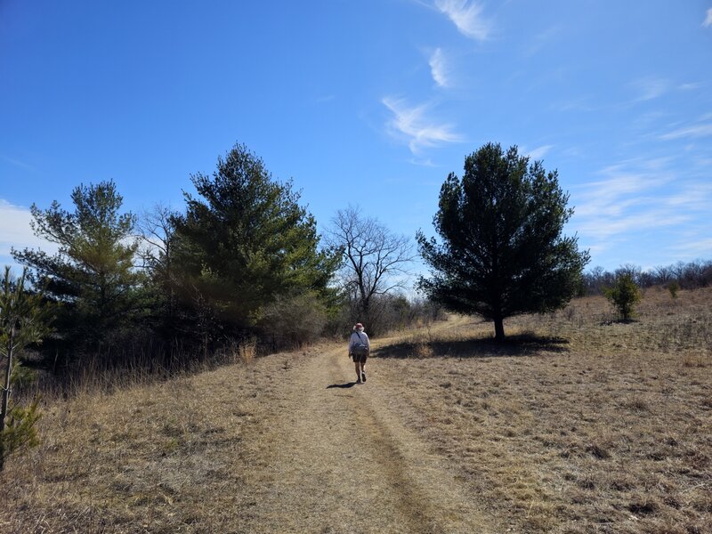 Starting on the western branch from the old road that leads to Ostrum Trail North.