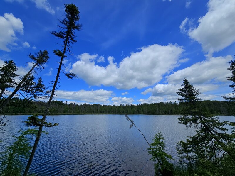 Big Bog Lake at the end of the boardwalk.