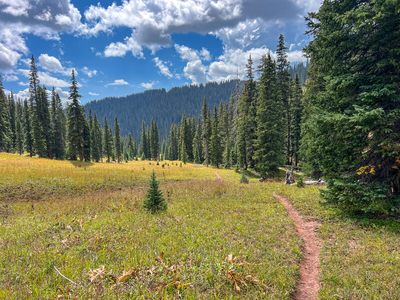 Deer Creek Trail