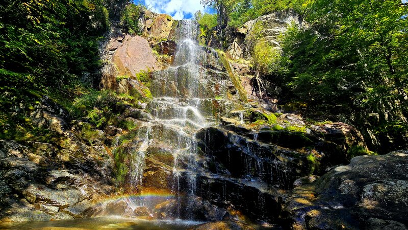 Beaver Meadows Falls