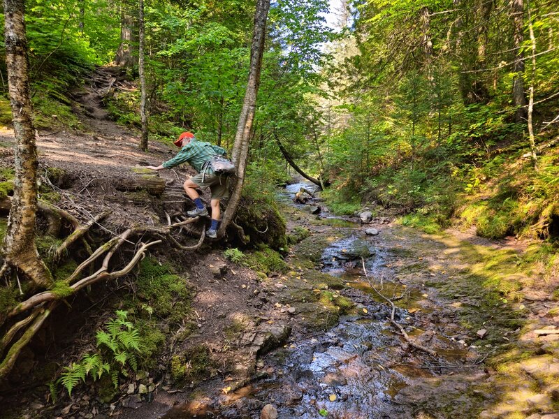 Crossing an unbridge drainage along the trail.