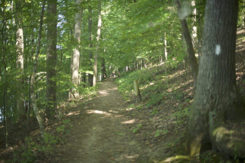 The Storybook Trail as it winds its way through the woods along Norris Lake.