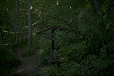 The Storybook Trail ends at a bench where you can take a break before heading back to your car or exploring the Christmas Fern Trail.