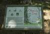 There are illustrated panels along the trail that tell the story of Oliver's Tree by Kit Chase.