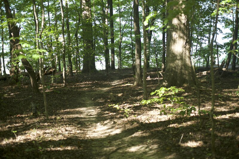 Along the trail, there are common use paths down to the lake shore.