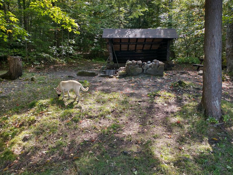 Taylor Pond Loop Trail Shelter