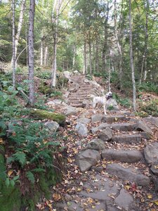 Beautiful stonework on all of the steps.