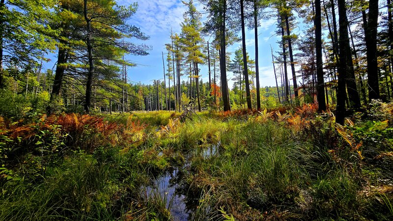 The Flume Trail