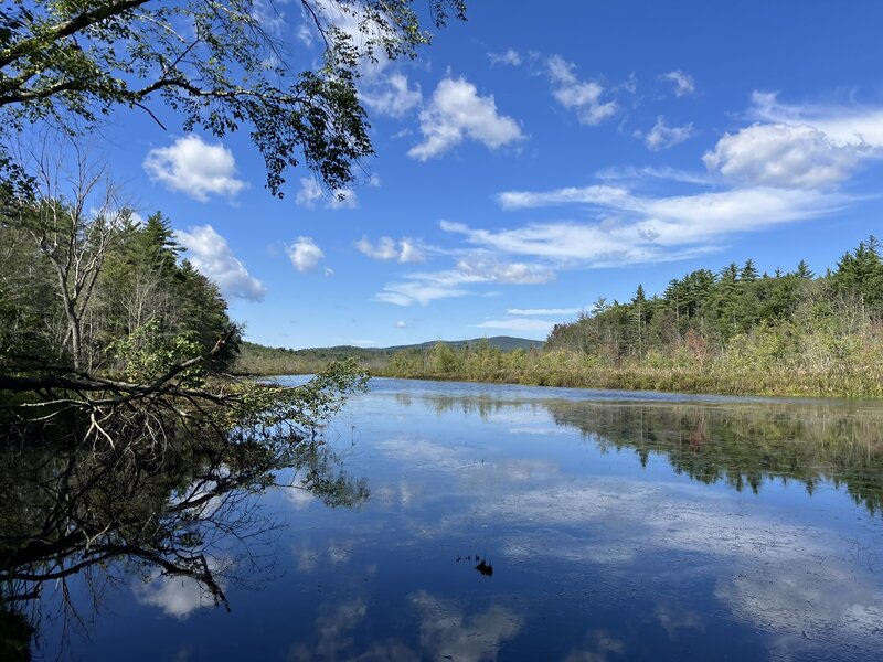 The view, looking out over Dinsmore Pond.