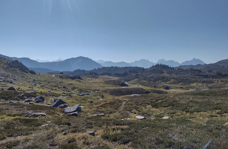 Alpine meadows, rugged mountains near and far. Mt. Robson, tallest in the Canadian Rockies at 12,972 ft. (left, if you look closely) in the far distance 25 miles/40 km away. Seen looking southeast in the meadows at the base of Jackpine Mountain.