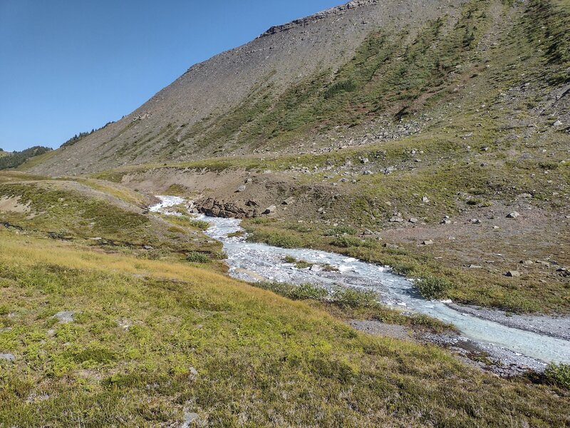 Stunning white stream in the alpine meadows at the base of Jackpine Mountain. Limestone runoff gives these streams their white color.