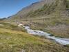 Stunning white stream in the alpine meadows at the base of Jackpine Mountain. Limestone runoff gives these streams their white color.