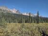 Thick willows dominate in the Jackpine River Valley, as the scenic, rugged mountains of the northeast side of the valley, are seen above.