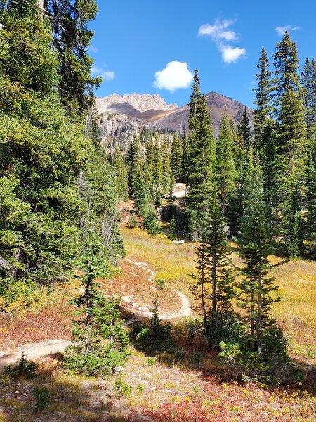 Pretty meadows in the fall.