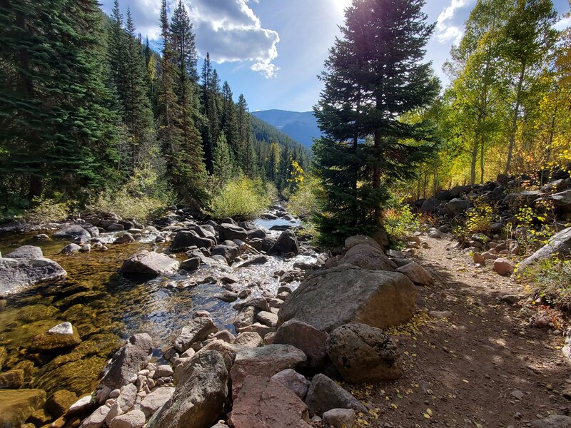 Sunlight through September aspens along the Gore Creek Trail.