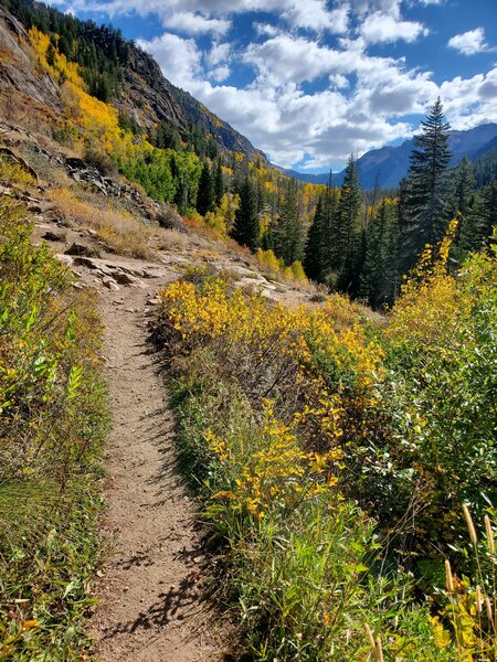 Fall colors along the Gore Creek Trail.