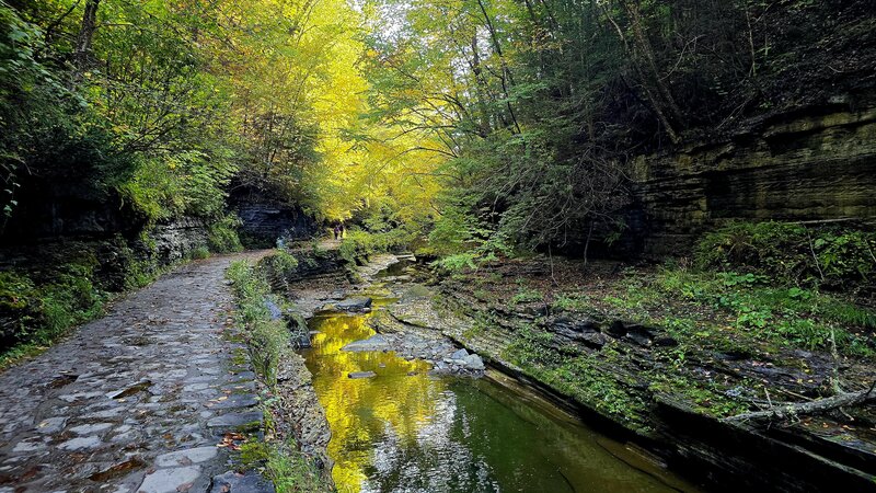 Lover's Ramble in Watkins Glen Gorge.